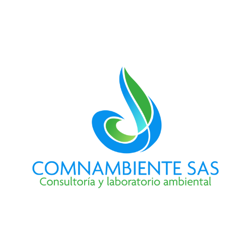 Imagen 6