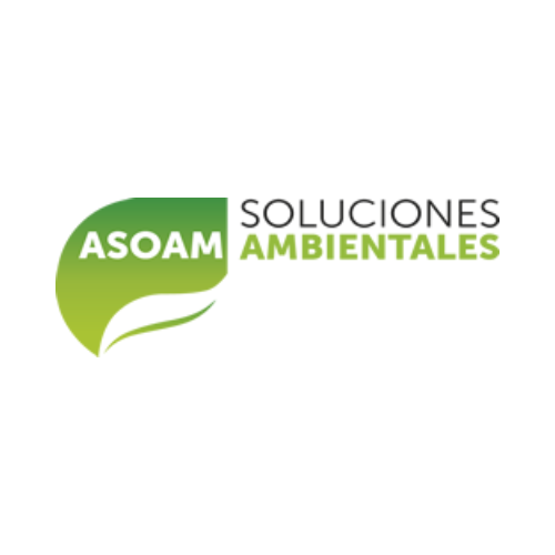 Imagen 7